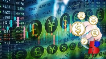 Foreign Exchange Risk